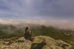 Dog with a view